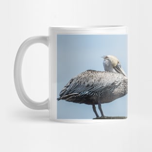 Resting Pelican Mug